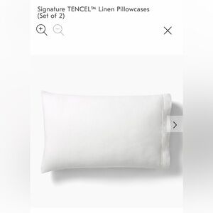 NWT West Elm Signature Tencel Linen White King Pillowcases - Set of 2